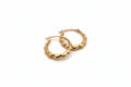 10K Gold Petite Hoop Earrings (Textured Finish)